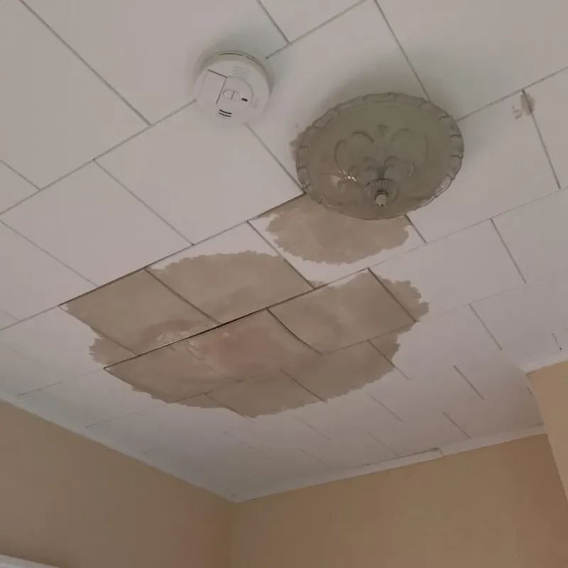 Ceiling Water Damage Repair in Hartford, NY