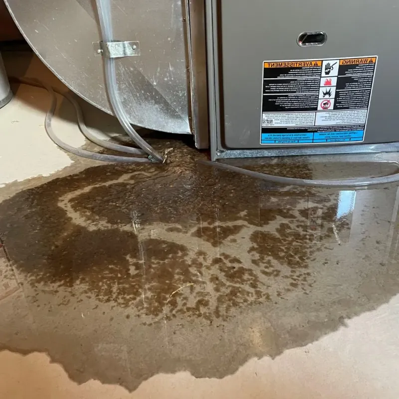 Pipe Burst and Leak Restoration in Hartford, NY